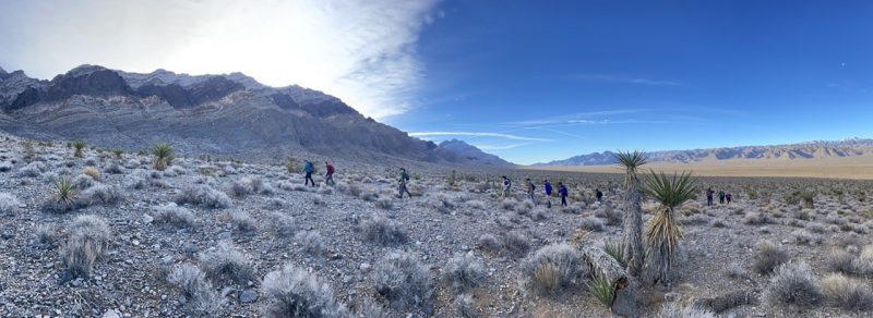 In a very wide, horizontal shot, hikers make their way across a desert with rock and cacti, and a blue sky overhead.