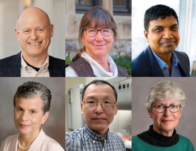  Virginia Tech researchers named AAAS Fellows are: (top row, from left) Eric Burger, Nancy Ross, and Naren Ramakrishnan. (bottom row, from left) Barbara Ryder, Liwu Li, and Brenda Winkel. Photo courtesy of Virginia Tech