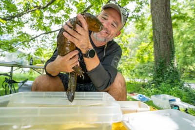 Man holds a brownish Hellbender