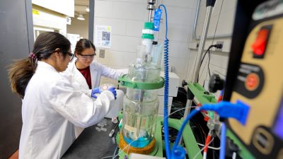 Students working in a lab