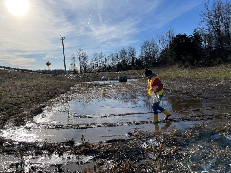Megan Rippy collecting water samples