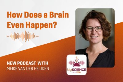 Meike van der Heijden, podcast guest