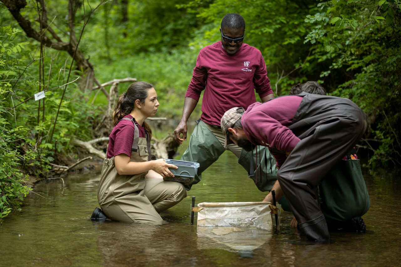 Virginia Tech Presidential Postdoctoral Fellowships Research and