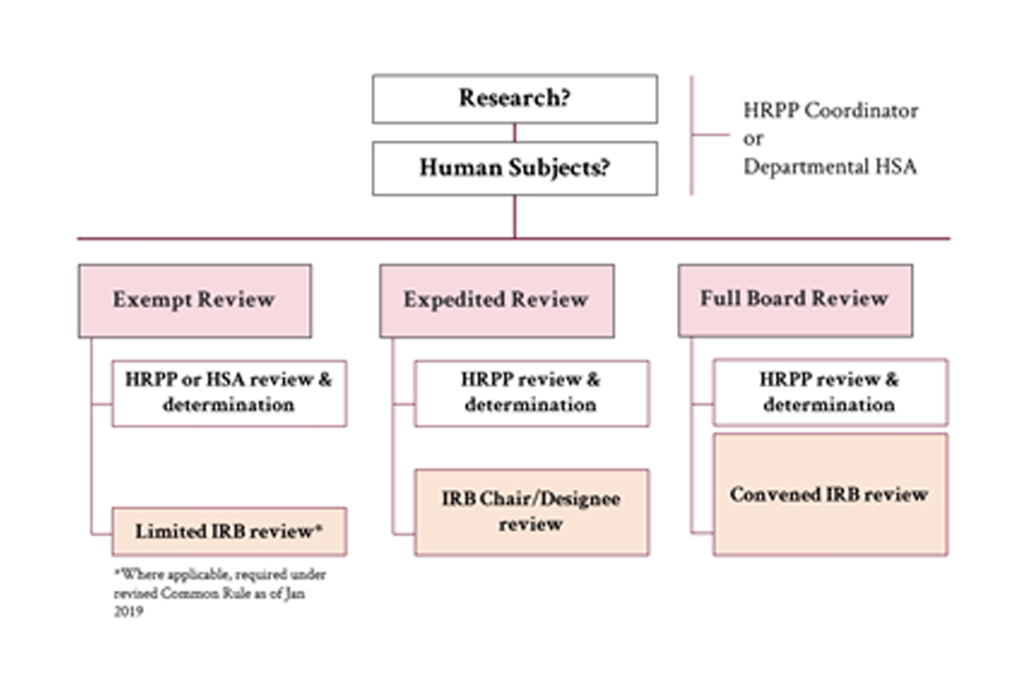 A graphic showing the review process structure of a submitted protocol.